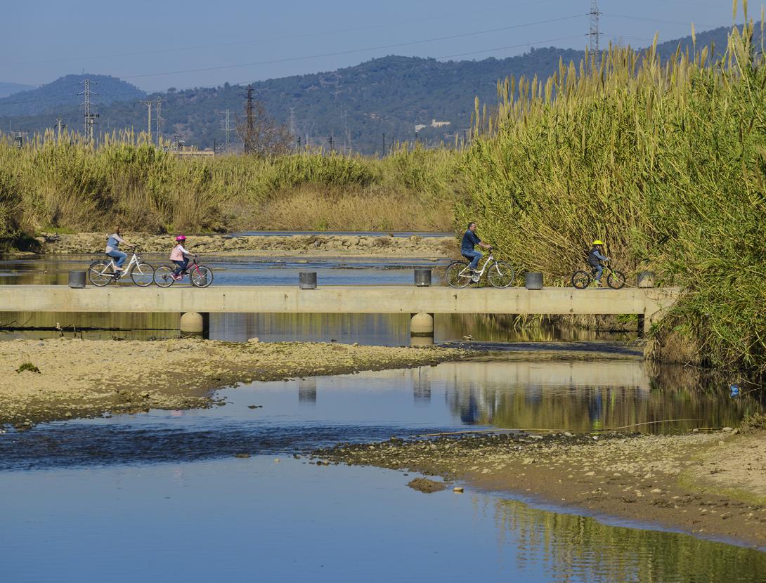 Recuperació de la biodiversitat del riu Llobregat
