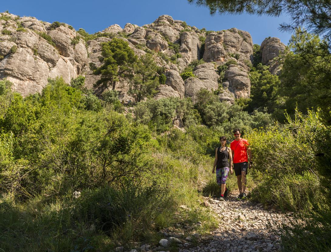 Clean up day a Collbató amb visita i tast d'oli