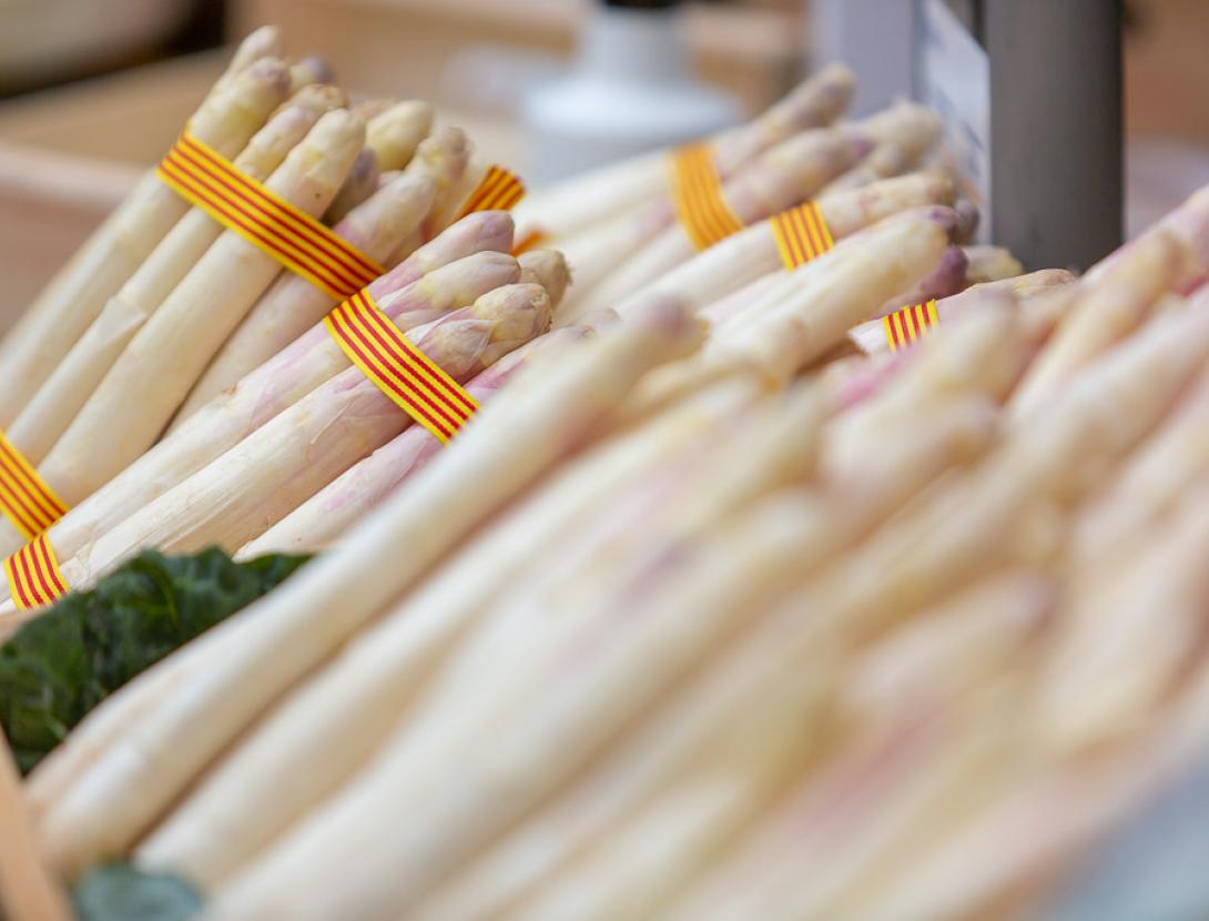 La Fira al Temps d'Espàrrecs de Gavà