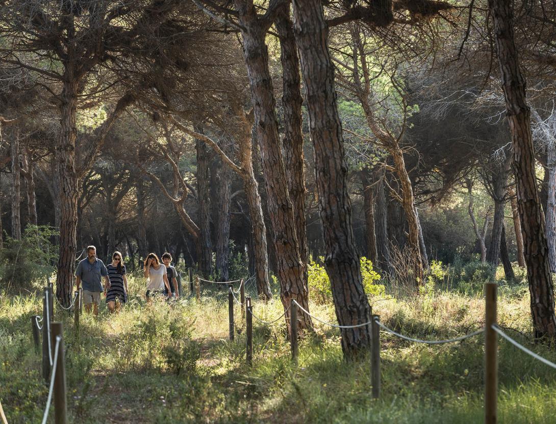 Visita guiada a la Pineda de Can Camins