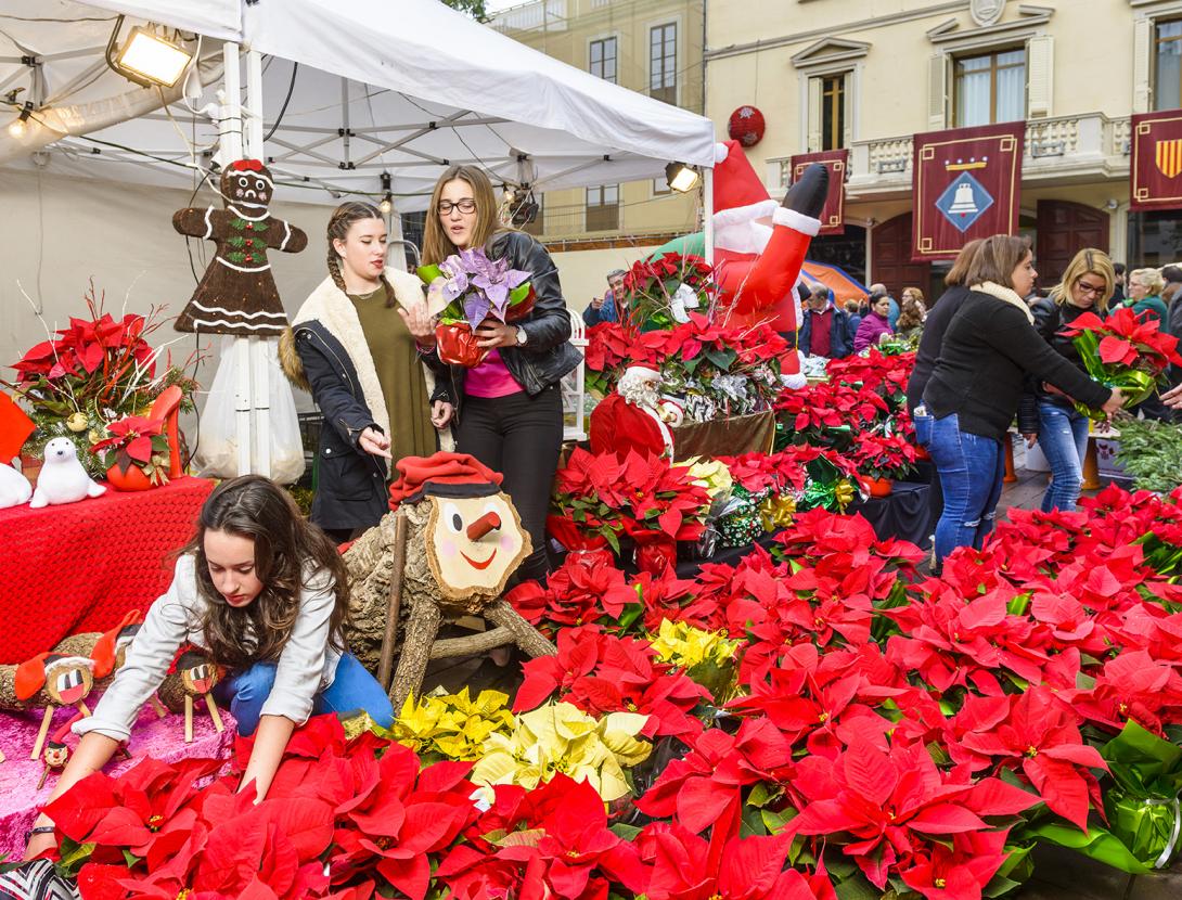 Fira Purissima Sant Boi