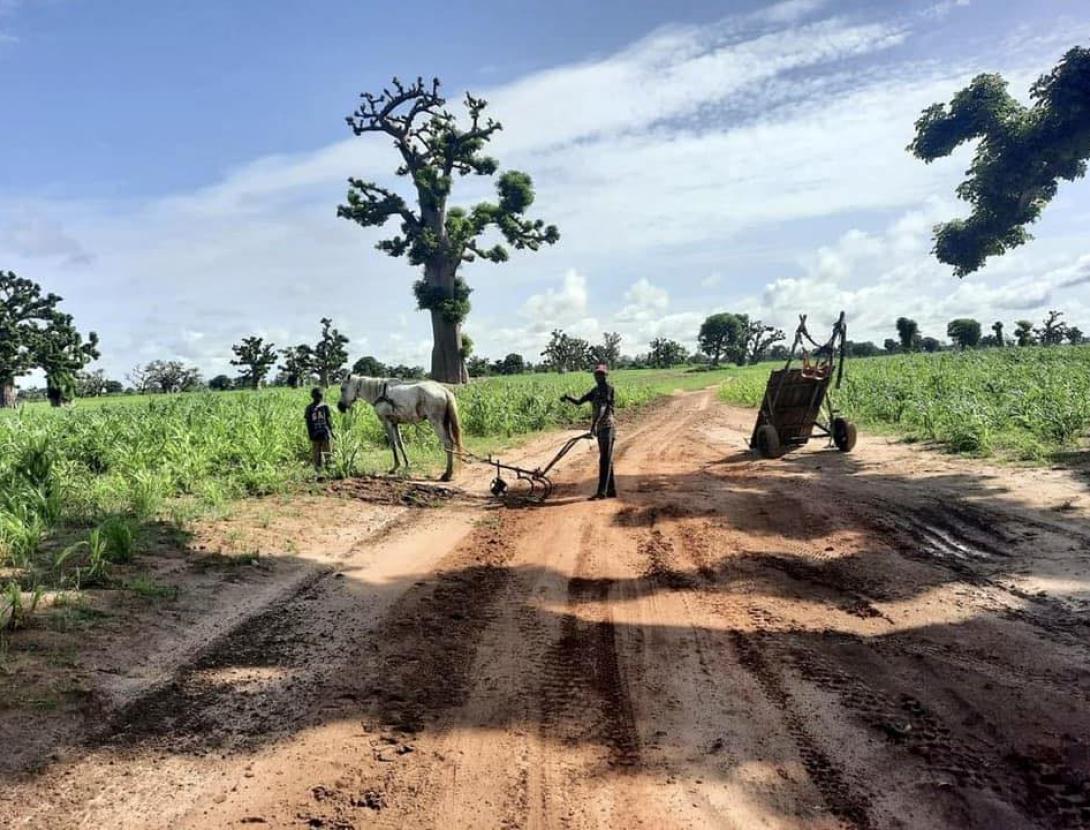 Concert amb "Dreams of Gospel"