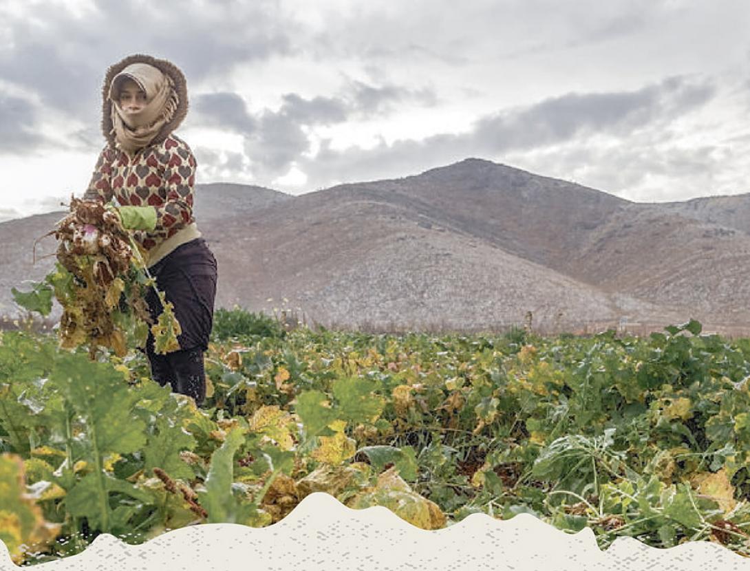 Projecció documental Aamelat. Jornaleres de la Guerra