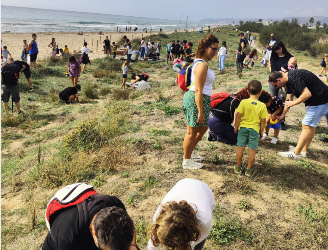 Acció Platges Met: recuperem les dunes.