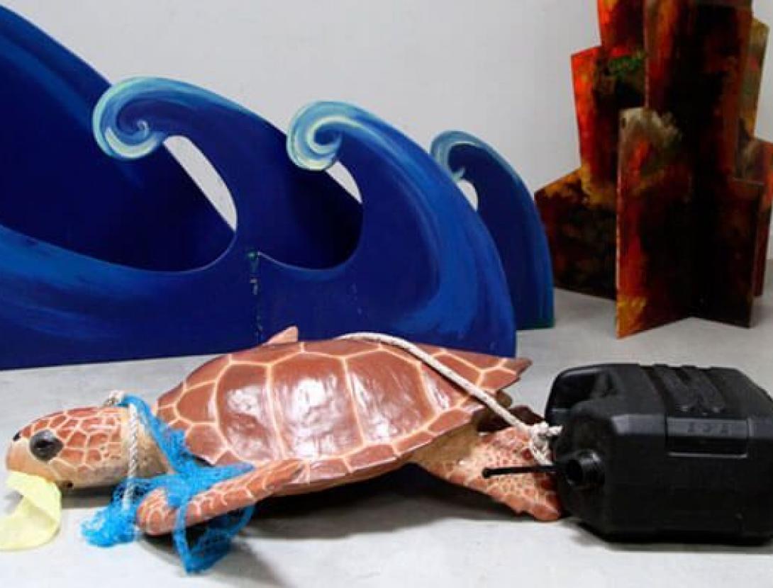 Com es rescata una tortuga?