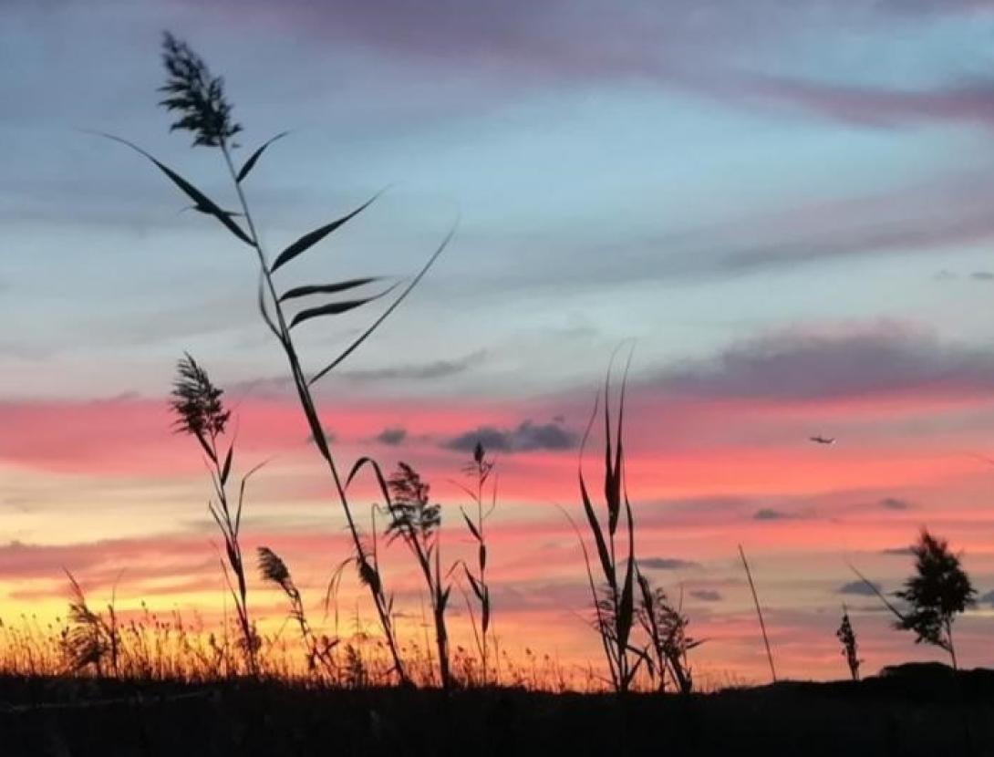 activitat familiar.jpg