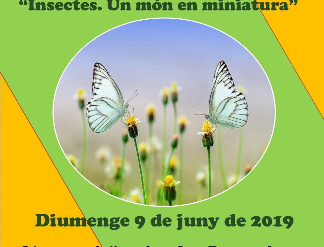 Activitat TALLER insectes.jpg