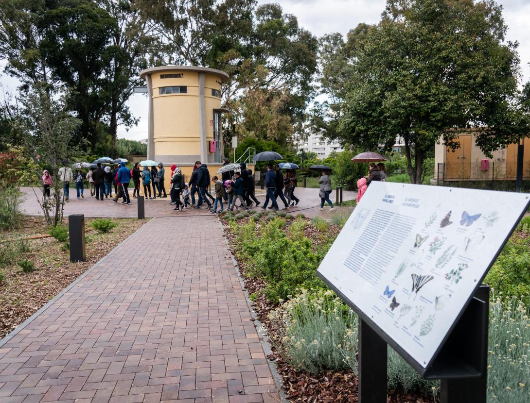 jardí de papallones del Museu de les Aigües