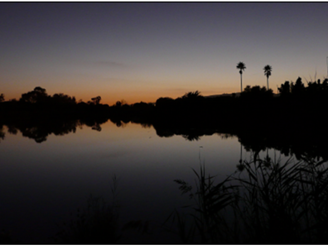 L’ alba al Delta (Remolar)