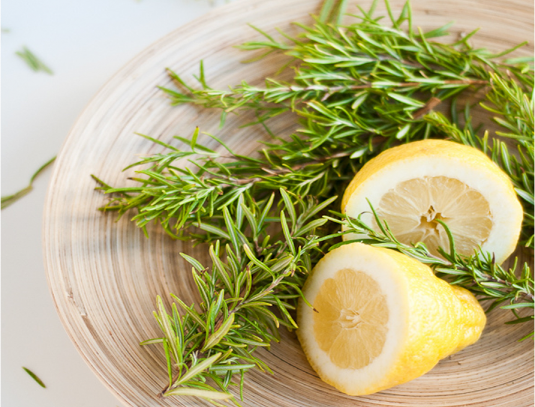 ambientadors naturals.png