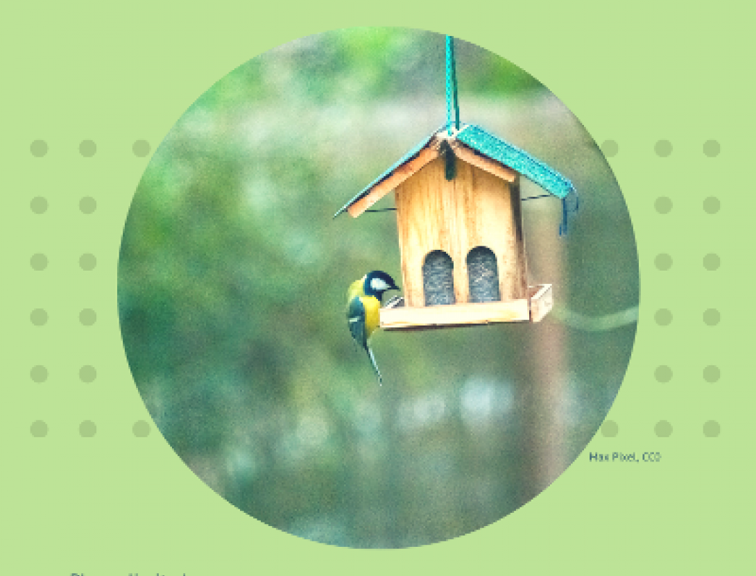 Anunci activitat caixes niu