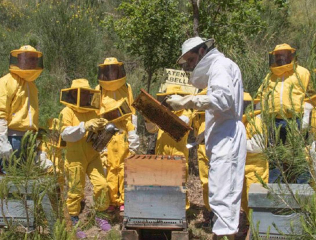 apicultors.jpg