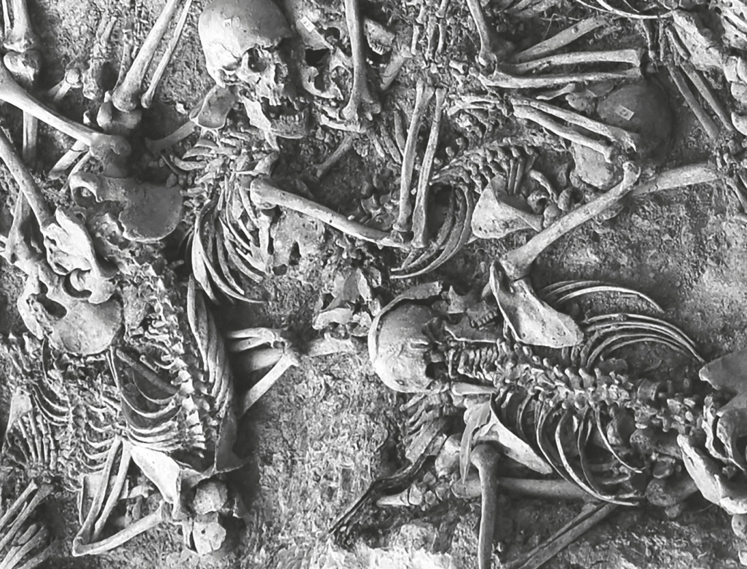 Exposició &quot;On són? 85 anys d’exhumacions de fosses comunes de la Guerra Civil a Catalunya&quot;