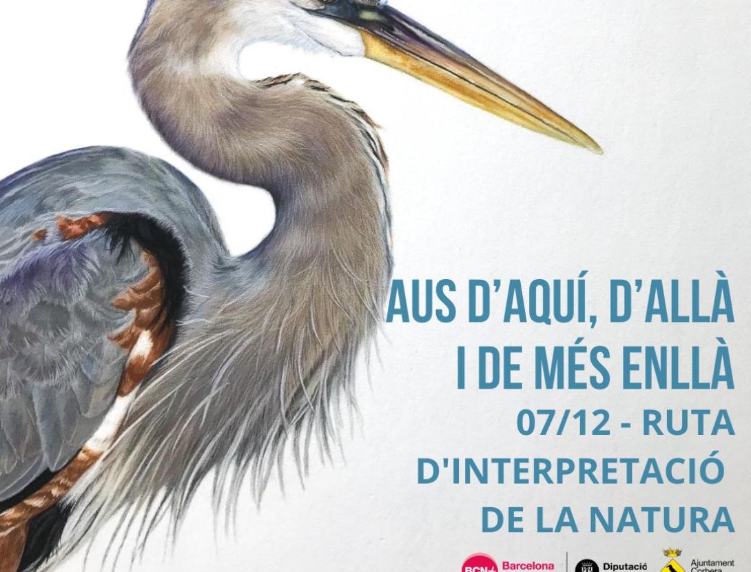 Aus d'aquí, d'allà i de més enllà