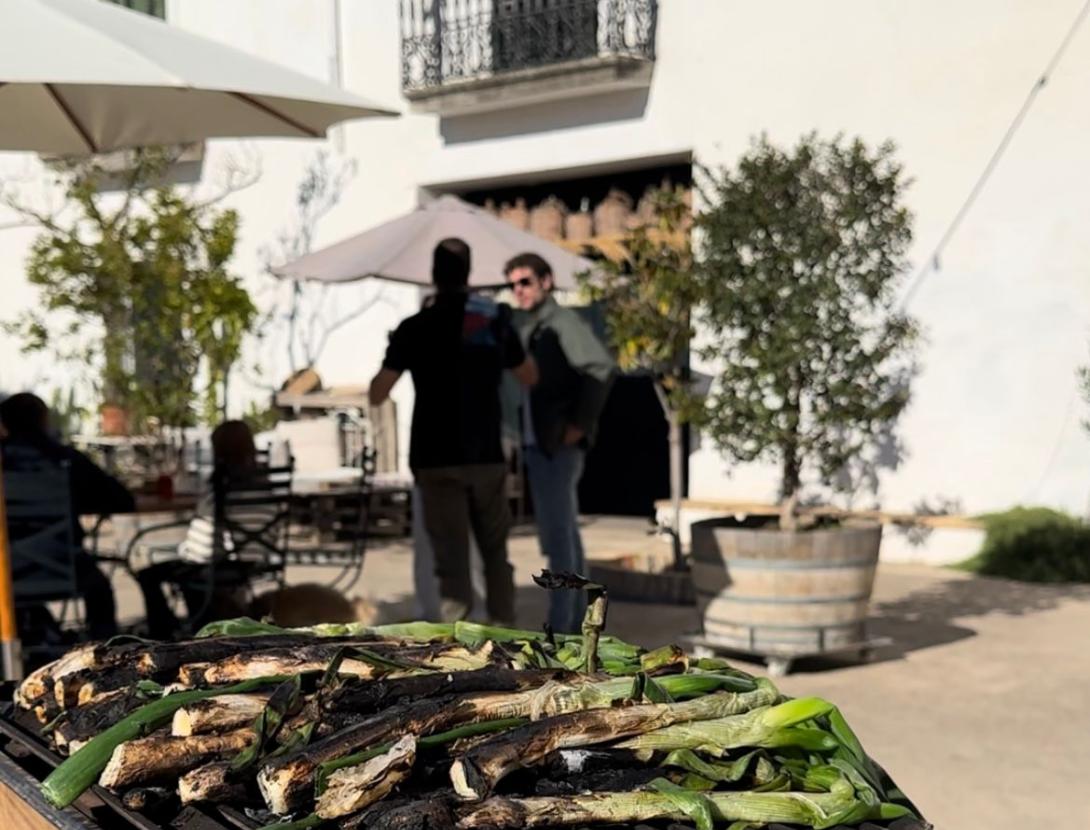 Visita i Calçotada al Celler