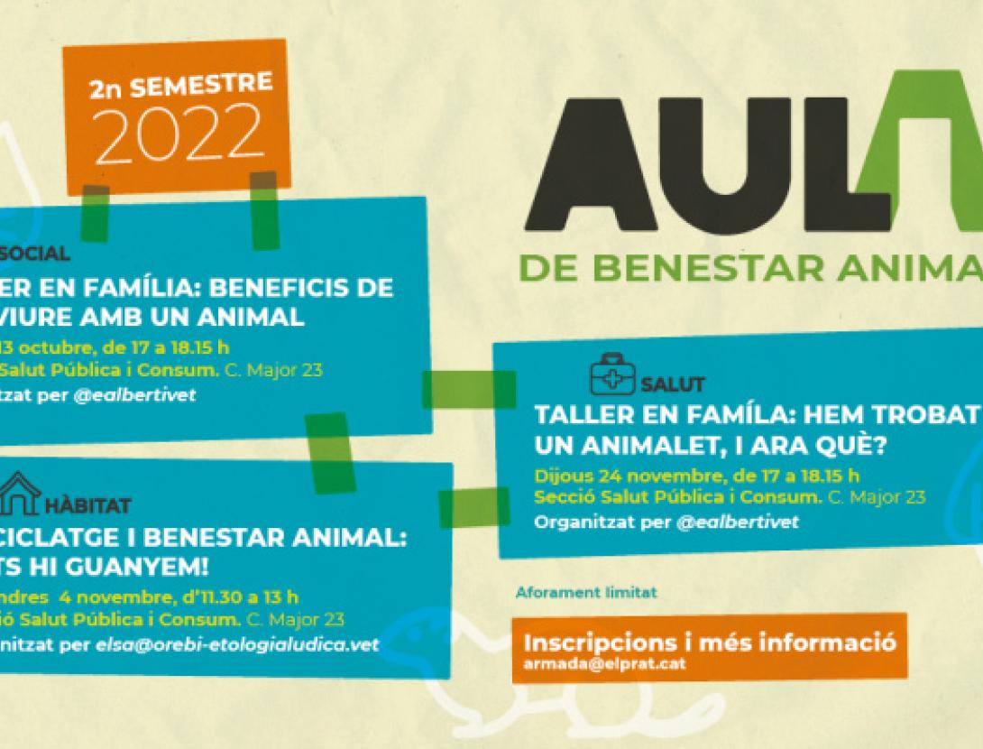 Hem trobat un animalet, i ara què?