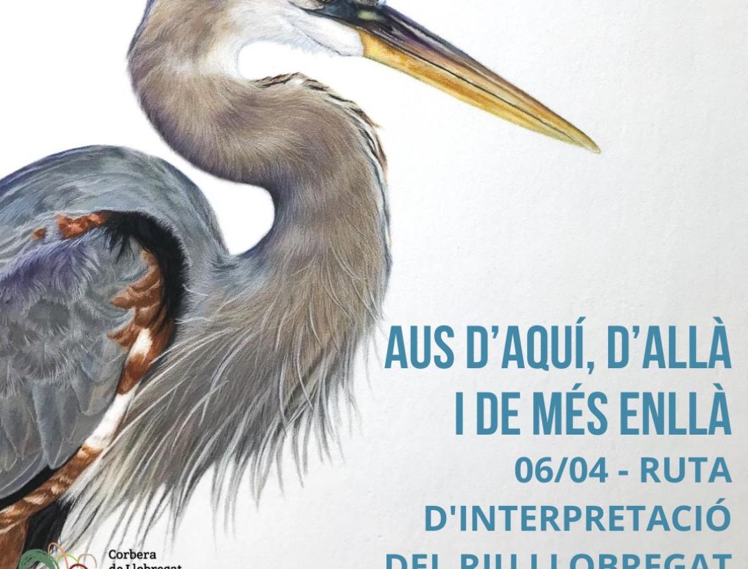 Aus d'aquí, d'allà i de més enllà