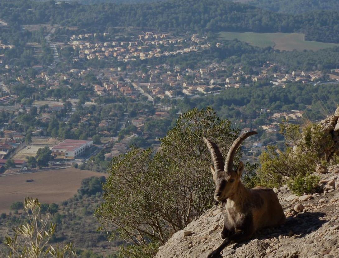 Camí de les Bateries