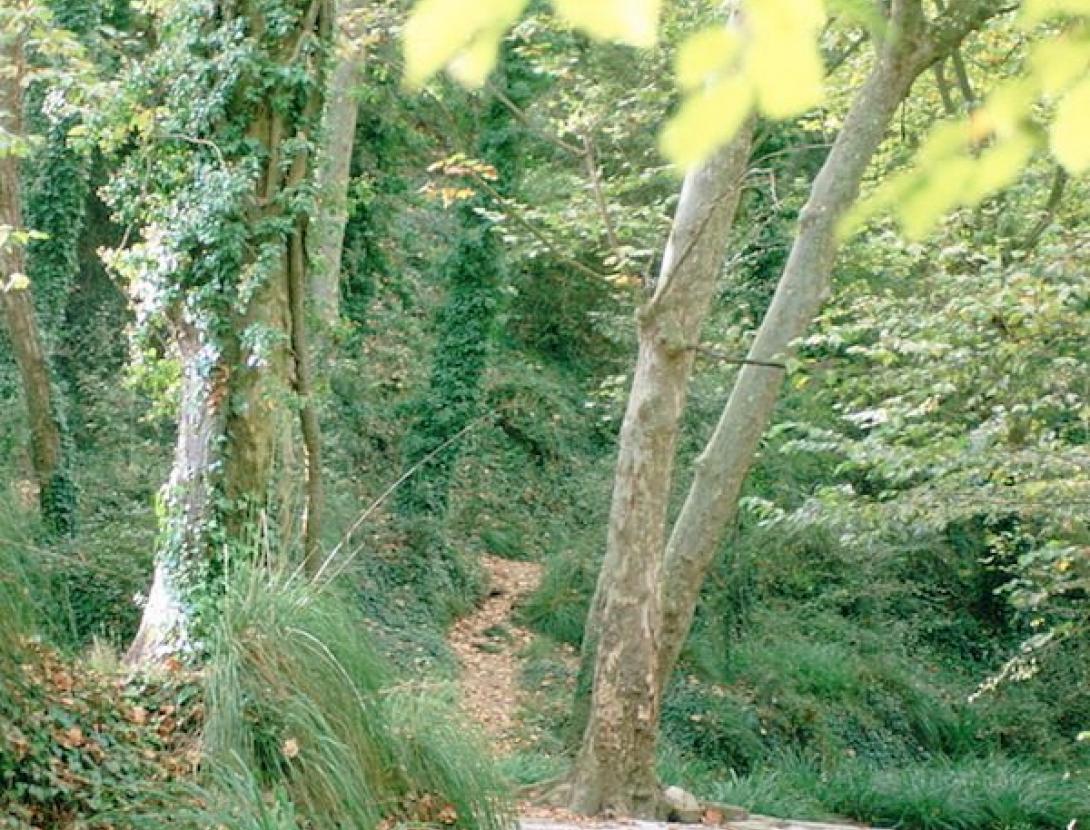 caçations vallirana 1.jpg