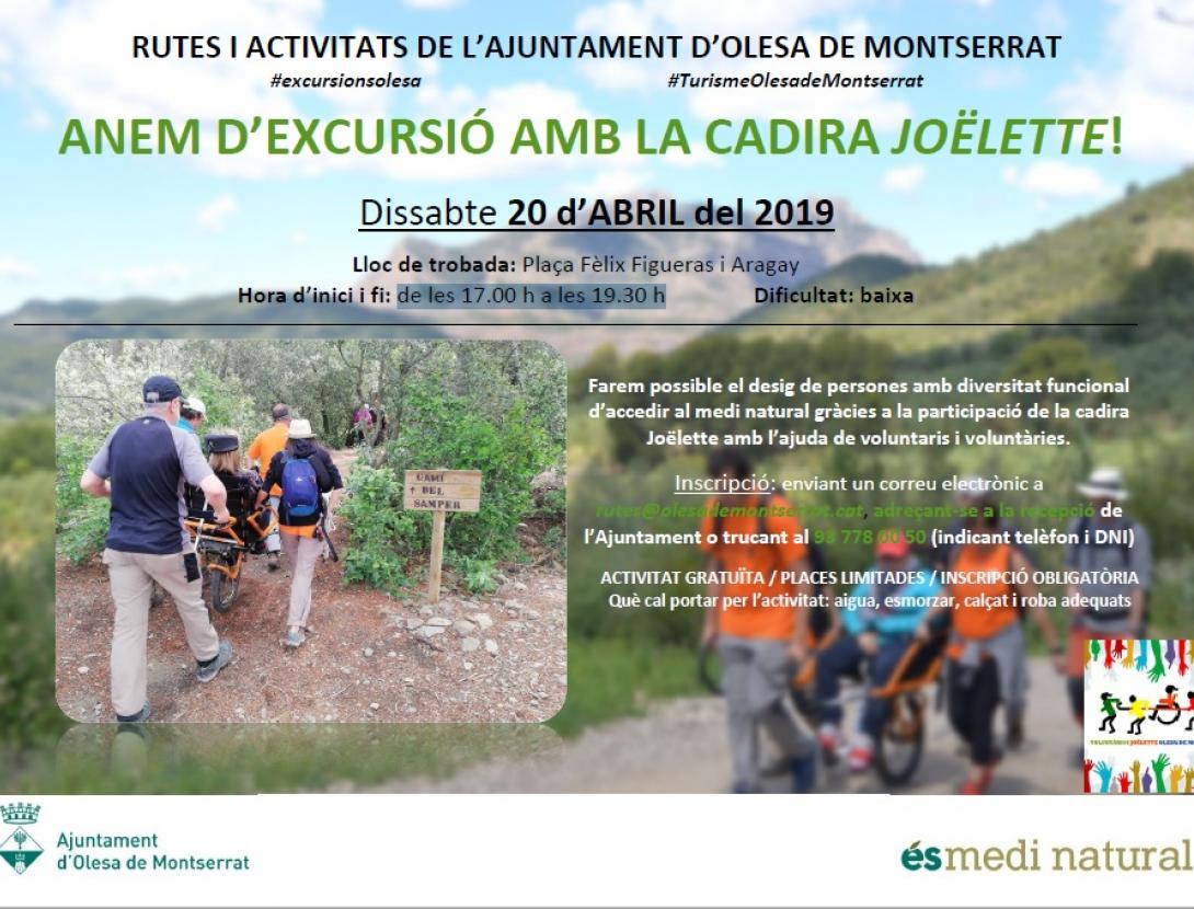 cadira joëlette.jpg