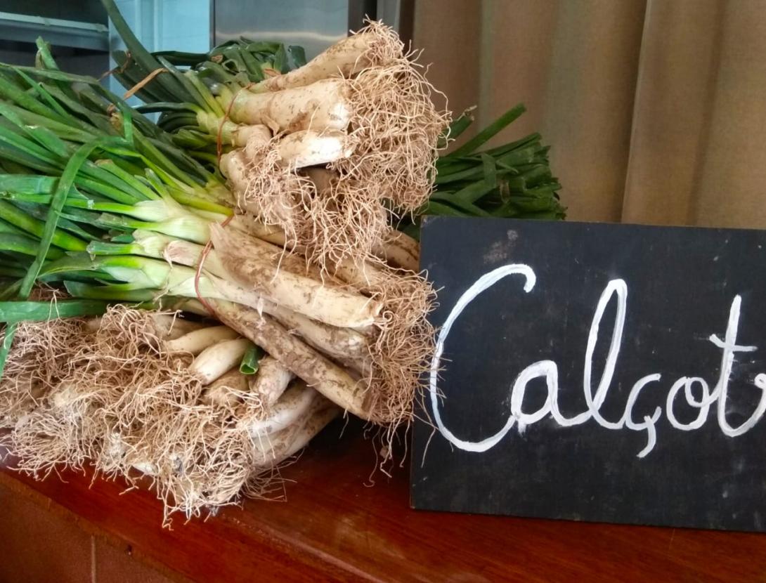 Cal mora calçots baix llobregat.jpg