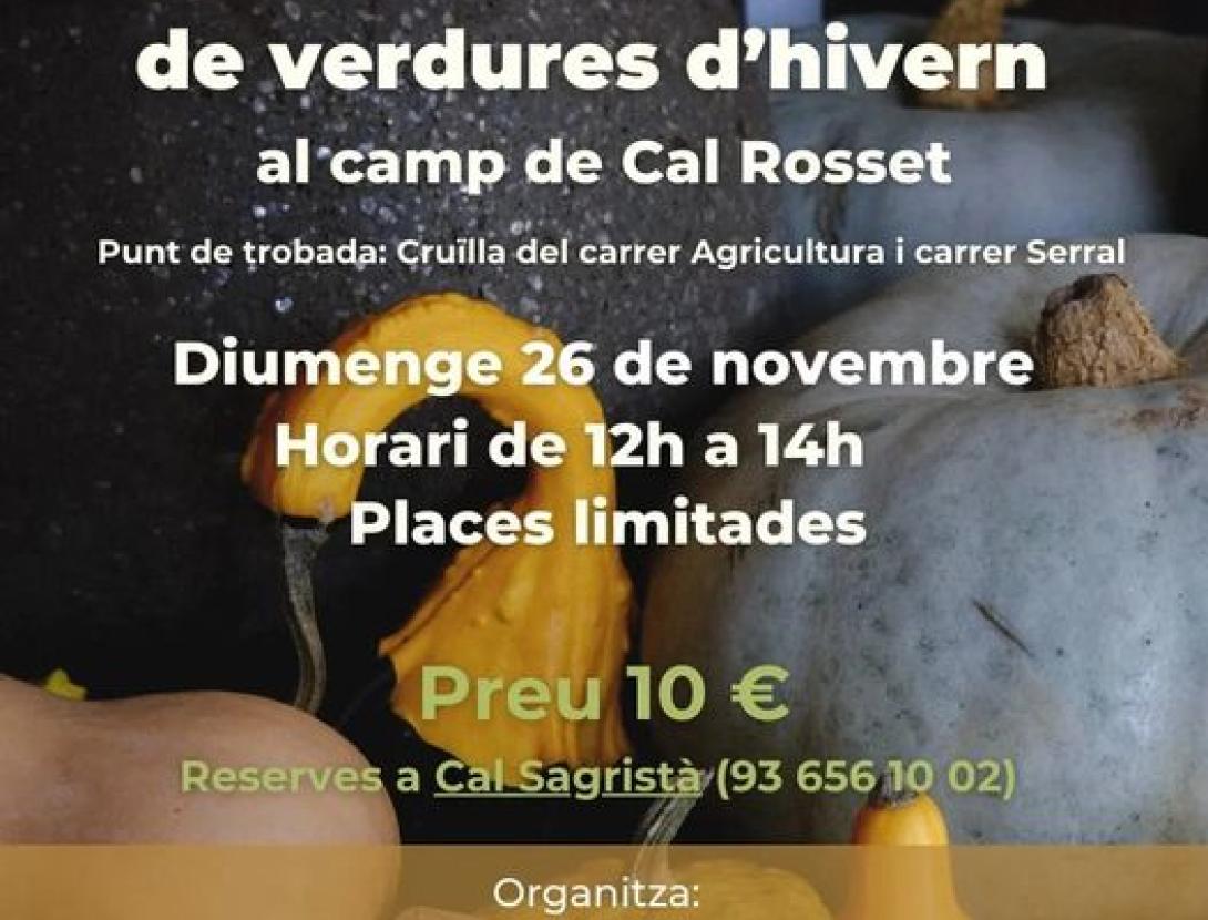 Visita i tastet de verdures d'hivern al camp de Cal Rosset