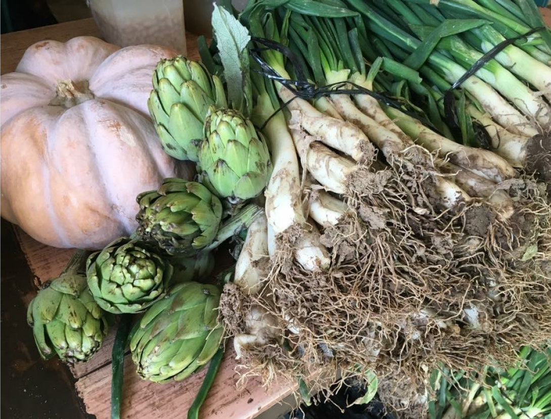 calçot can llates.png