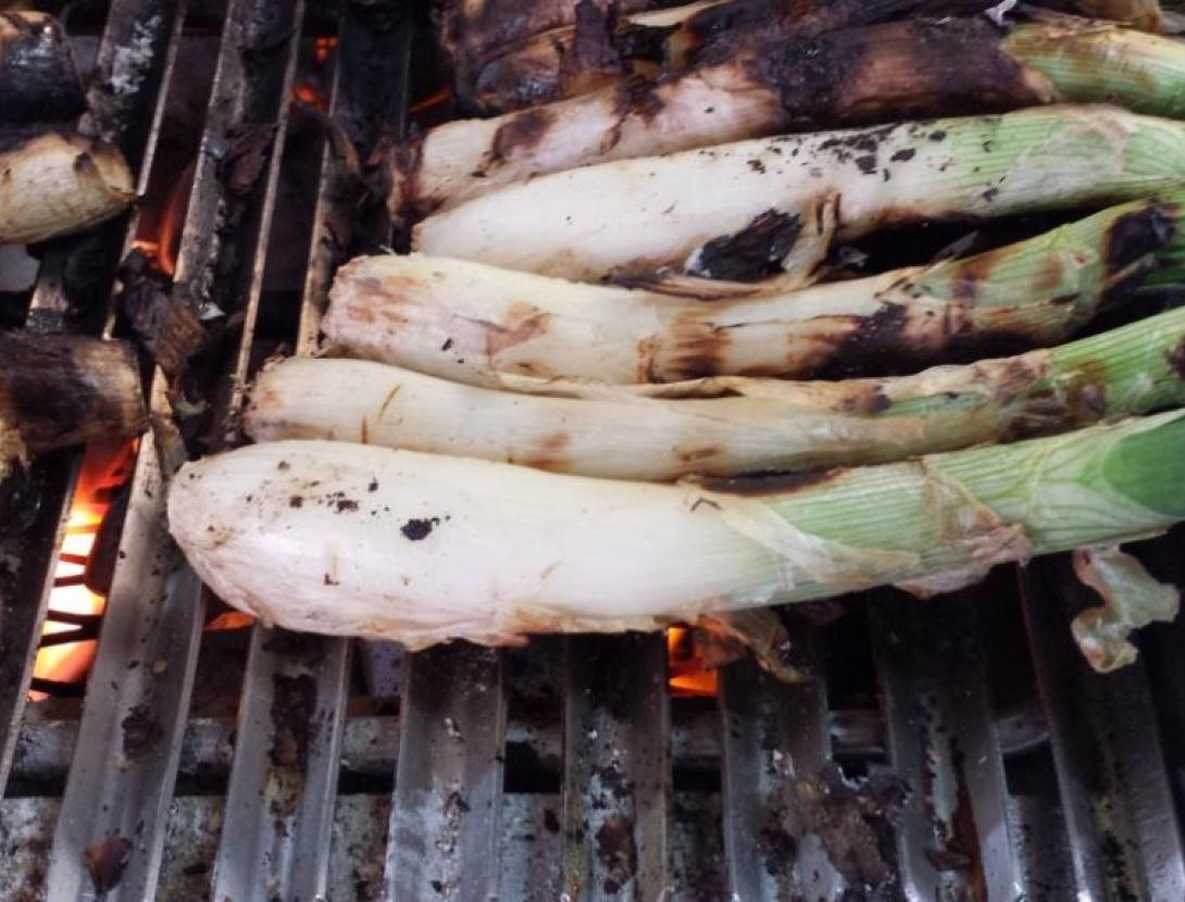 Calçots