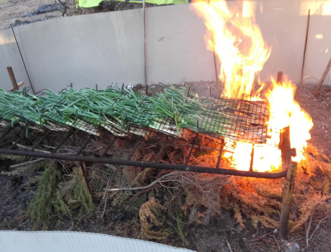 Calçots3.jpg