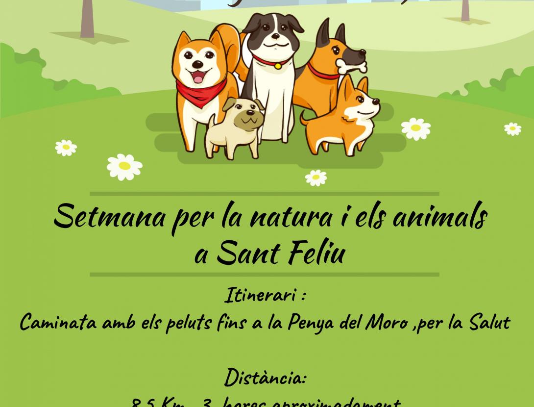 Caminata cartell.jpg