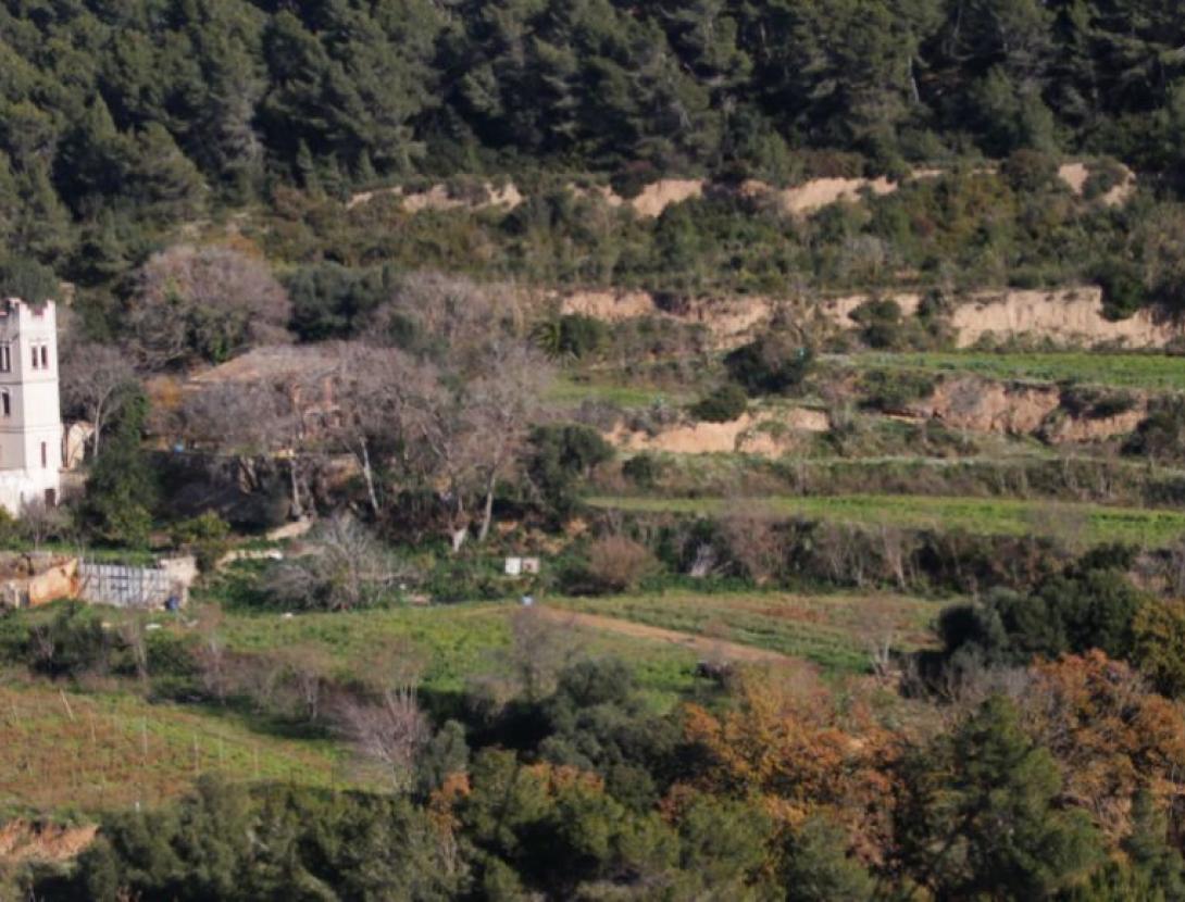 Visita a la finca de Can Bofill