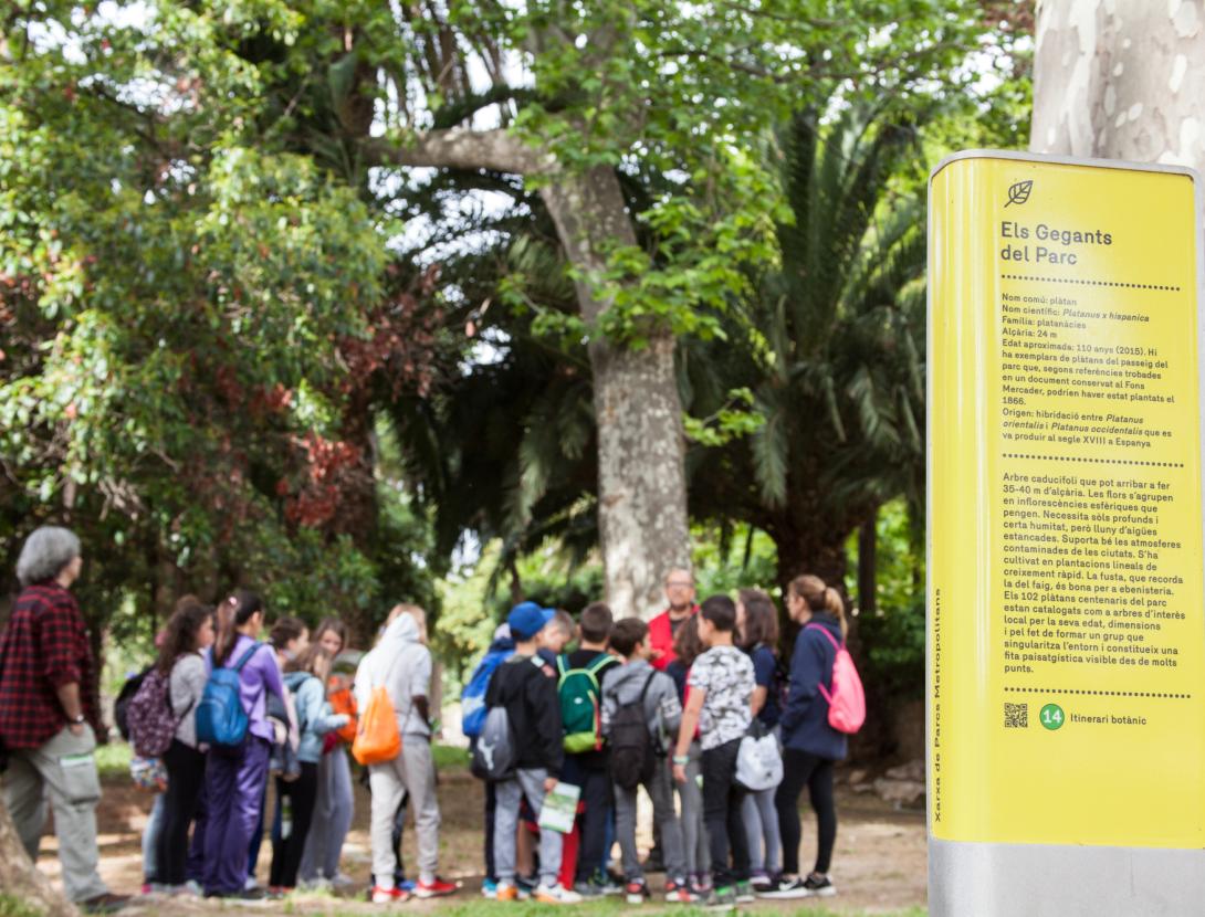 El refugi climàtic de la Dra. Shiva
