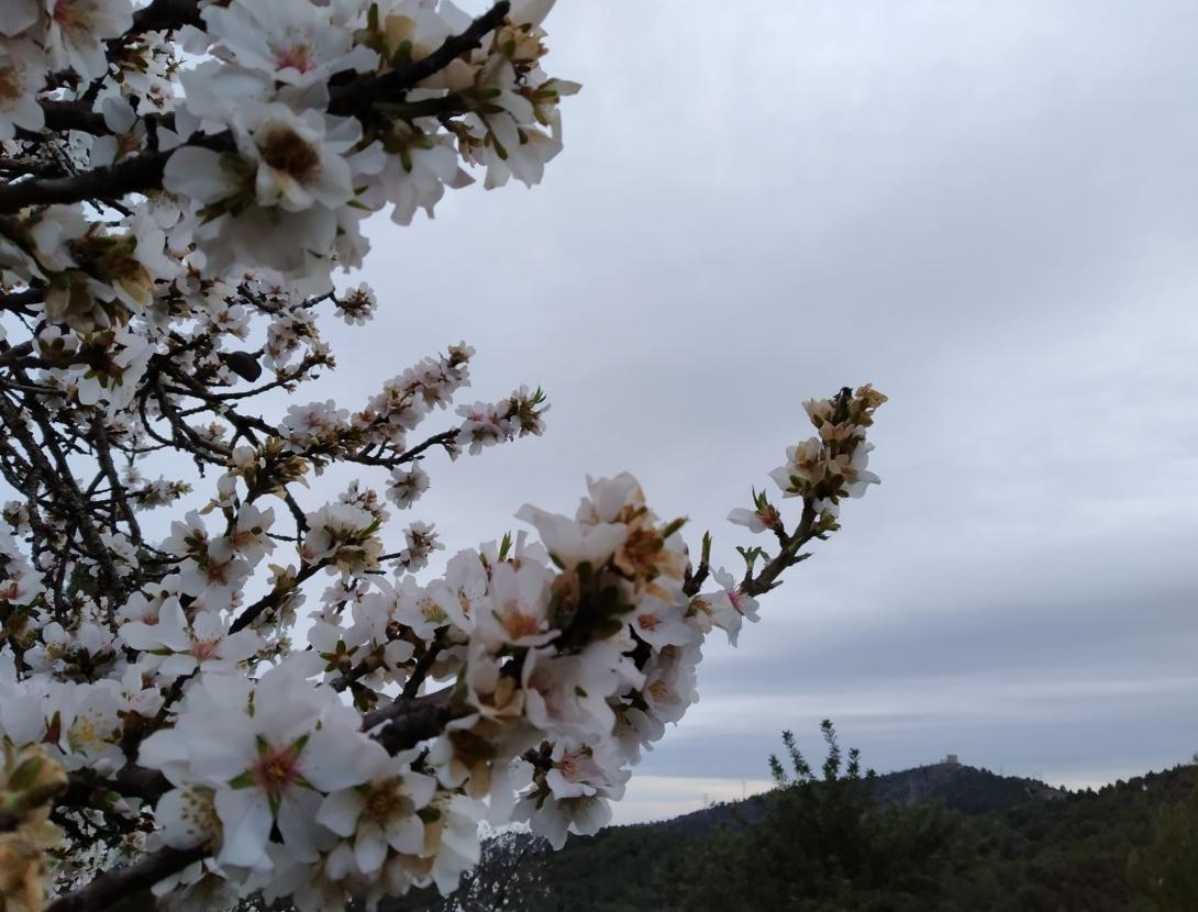 La Vall del Llor i el Montbaig