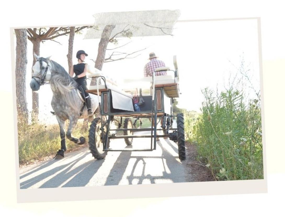 capvespresapages (3).jpg