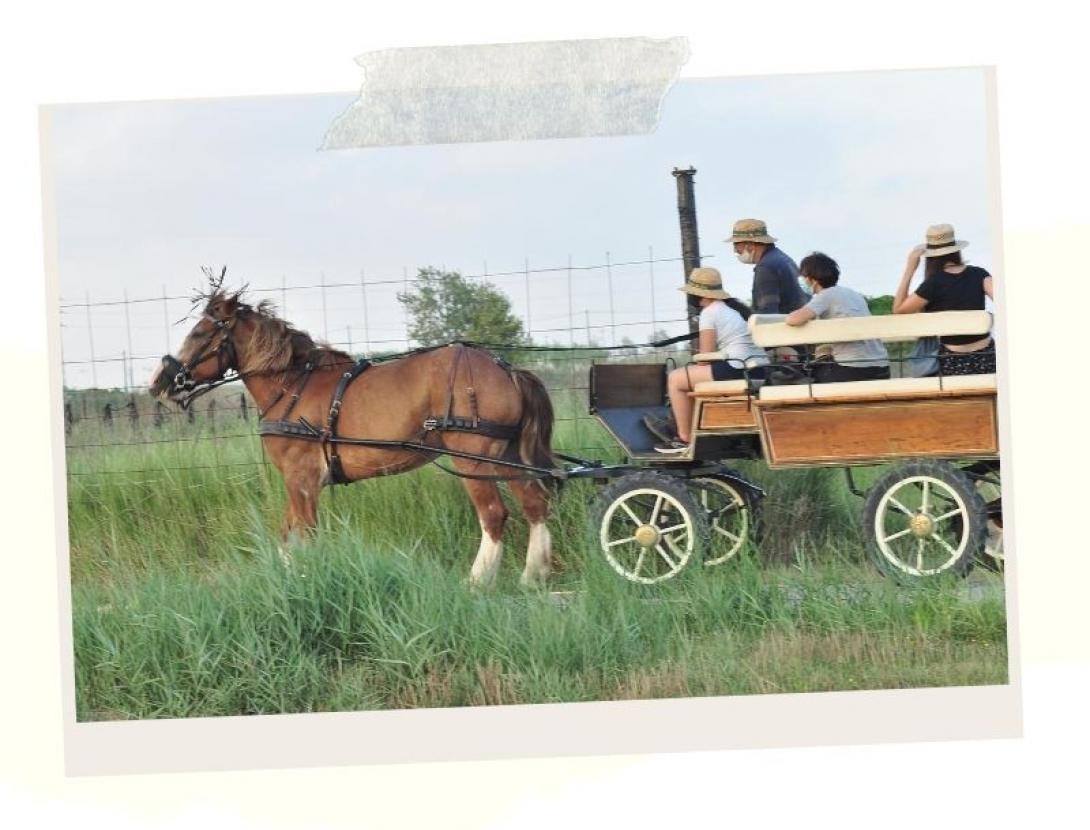 capvespresapages (5).jpg