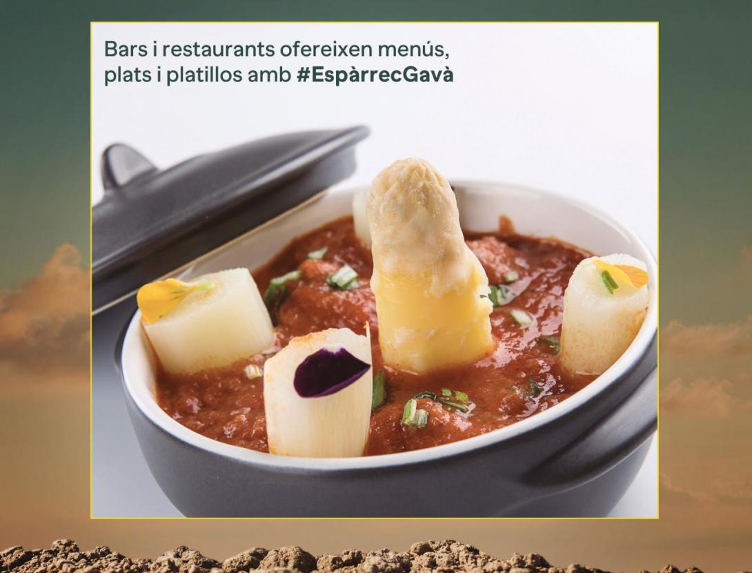 Espàrrecs a la Carta / GastroGavà Fira