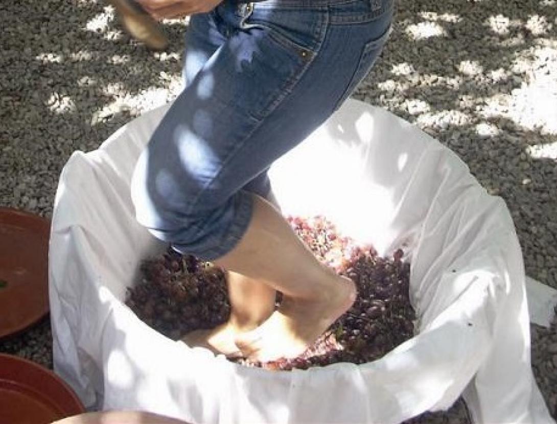 Cartell 2018-02_2.jpg