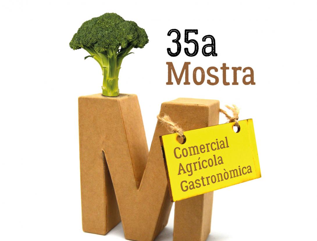 Cartell 35 Mostra Festa Major d'Hivern.jpg