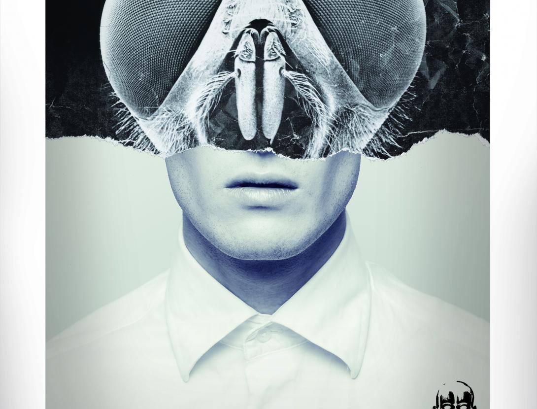 Cartell Molins2016 petit.jpg