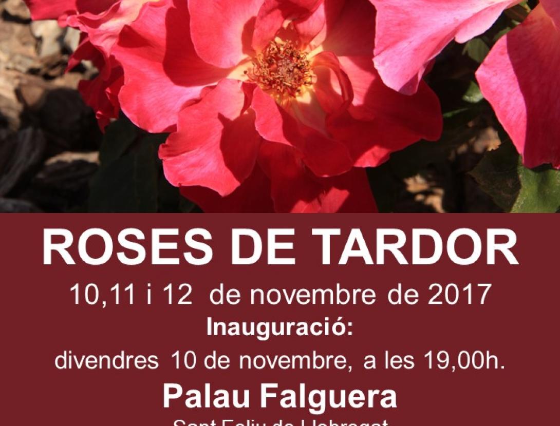 cartell Roses de tardor 2017