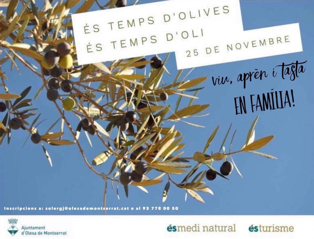 Cartell sortim en familia.JPG