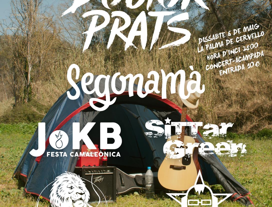 Cartell Xapu 2017.jpg