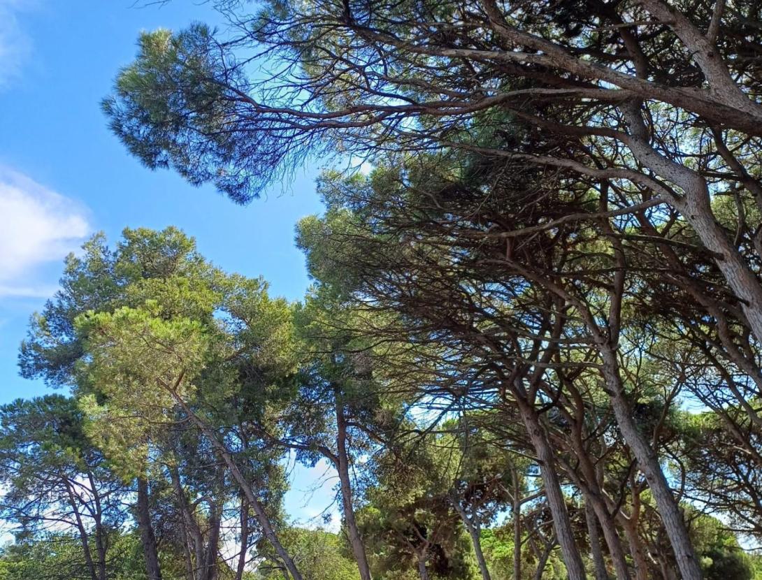 Marcha Nórdica Castelldefels desde el Canal Olímpico a Gavá