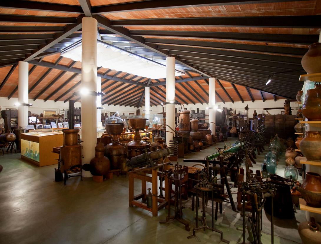 VISITA CELLER I MUSEU DEL VI I DEL CAVA RAMON CANALS