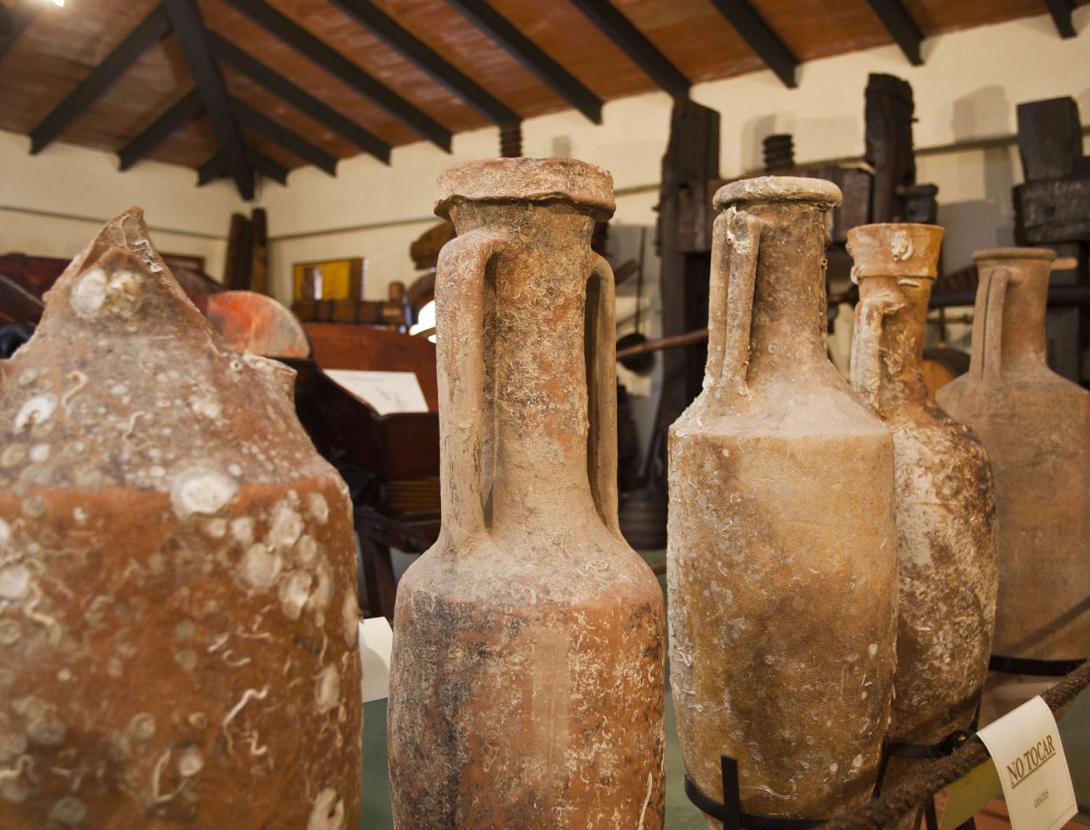 VISITA CELLER I MUSEU DEL VI I DEL CAVA RAMON CANALS