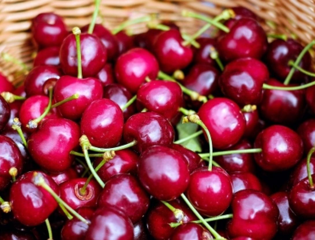 cherries-1453333_1920_free.jpg