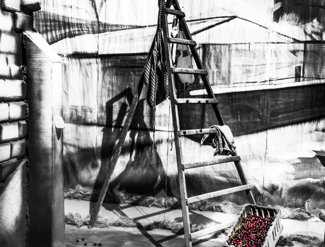 Cirera 2015 30 anys-158.jpg