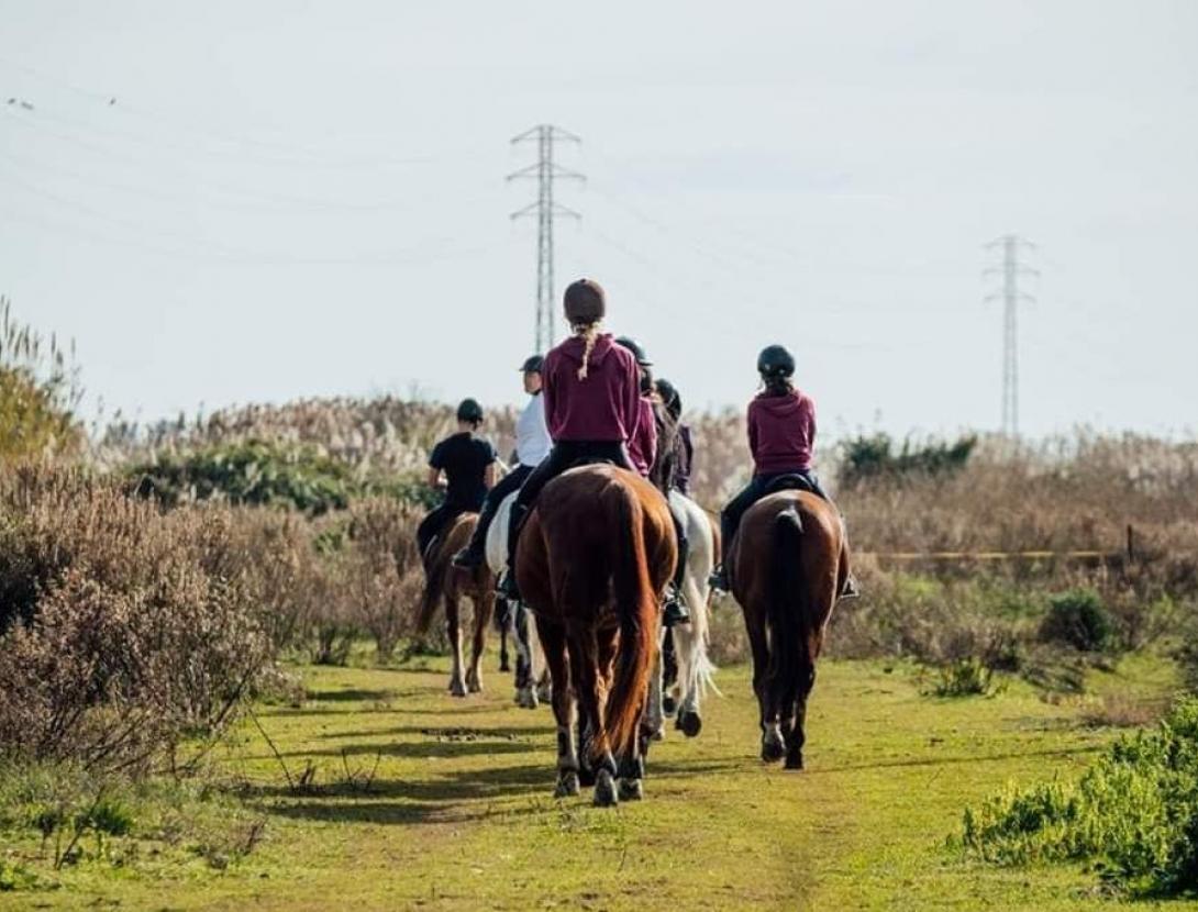 CLUB ESPORTIU TOTS A CAVALL.jpg