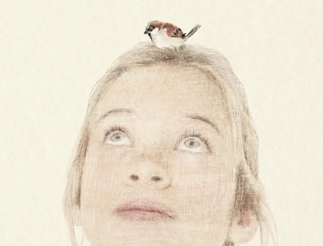 Contes amb ales .     CORPUS