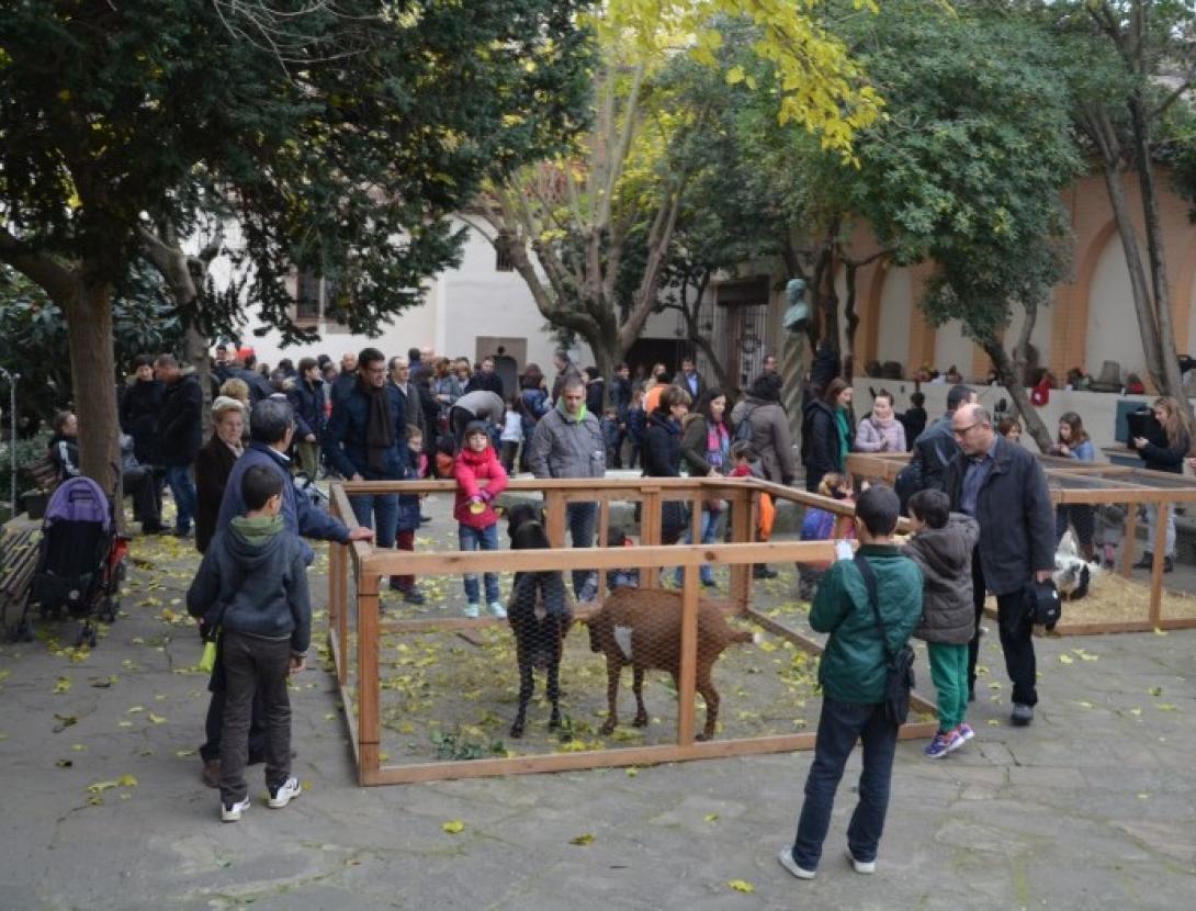 corral nadalenc .jpg